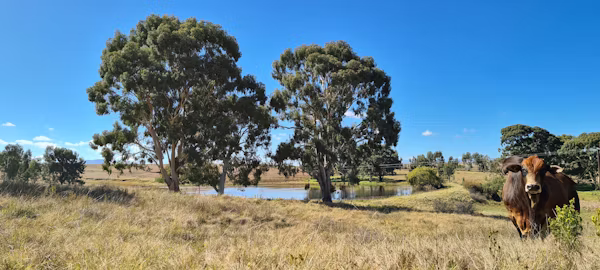 Data Collection & Field Work